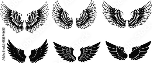 Vector illustration of six stylized wings in detailed and silhouette designs, angel and bird inspired artwork for fantasy, tattoo, and graphic projects
