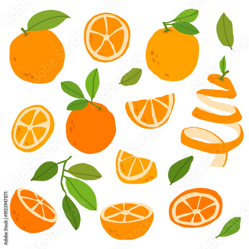 Fresh orange citrus set with whole fruits and slices. Bright flat illustration perfect for packaging, food branding, kitchen decor and market designs
