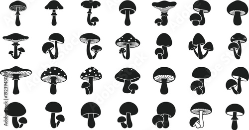 Vector illustration set of thirty mushroom silhouettes, diverse fungi collection with caps, stems, gills, botanical design elements, nature, food, identification concepts.