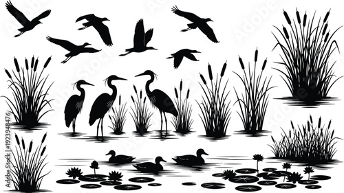Wetland silhouette vector illustration with birds, ducks, herons, aquatic plants, cattails, lily pads, nature wildlife artwork, environmental habitat design concept