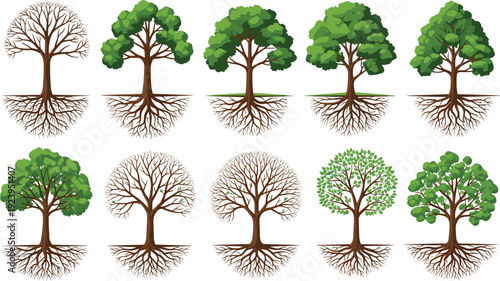 Tree illustration set, root system artwork, seasonal motif, botanical design vector collection for nature, ecology, education, and environmental themes