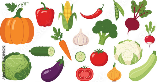 Fresh organic vegetables collection with pumpkin corn pepper broccoli cabbage and eggplant healthy food vector illustration set