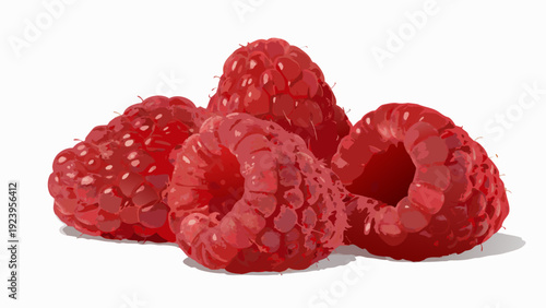 Raspberry juicy organic vector illustration isolated on white