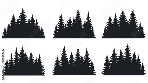 Black Pine Tree Silhouettes in Forest.