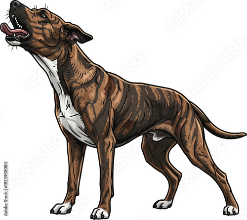 Treeing Tennessee Brindle dog barking alert aggressive pose 