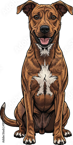 Treeing Tennessee Brindle dog sitting happy smiling facing front