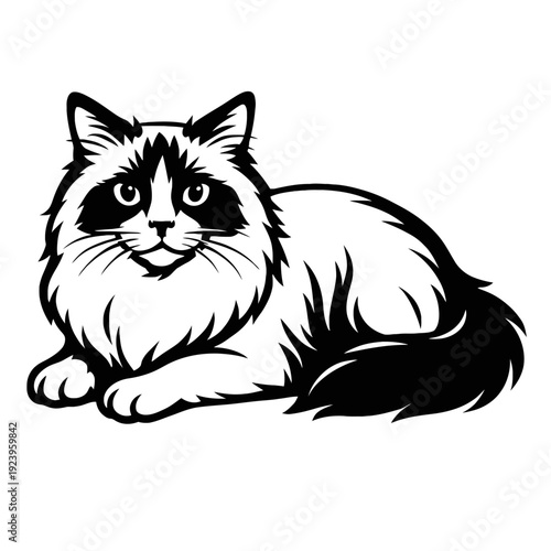 Ragdoll Cat Vector Illustration - Fluffy Pet Graphic