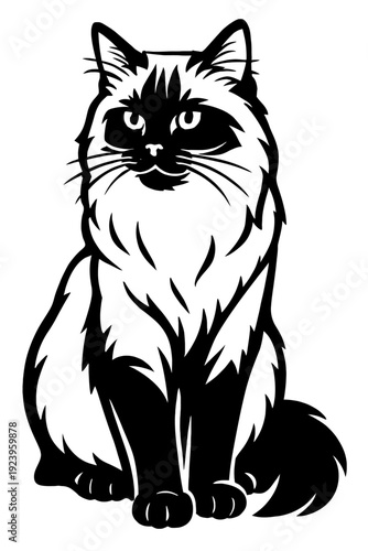 Ragdoll Cat Vector Illustration - Seated Feline Graphic
