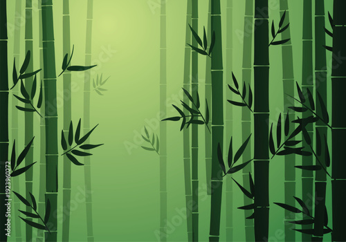 Bamboo trees vector illustration
