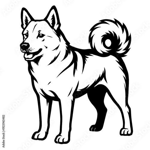 Shiba Inu Dog Vector Illustration - Japanese Breed Graphic
