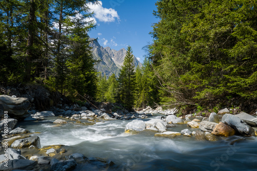 Photography Crystal clear river flows swiftly over smooth stones, framed by lush evergreen forest and jagged alpine peaks under bright daylight in the Dranse de Ferret valley