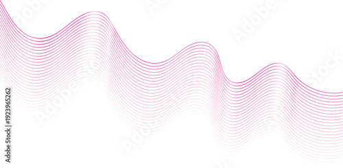 Flowing pink gradient lines forming abstract waves on white background vector