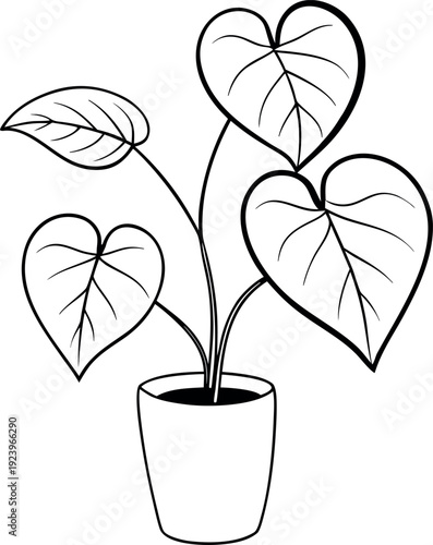 Heartleaf philodendron indoor foliage plant illustration