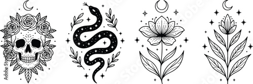 Mystical illustration set, skull roses snake stars crescent moon flowers symbolic nature design, vector artwork, fantasy and culture theme, isolated background