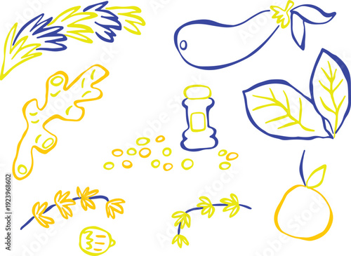 Yellow and blue rough-lined hand-drawn spices and herbs. Rosemary, eggplant, peppercorns, bay leaf, ginger, walnut, apple. creative culinary element. Isolated colorful illustration for food design.
