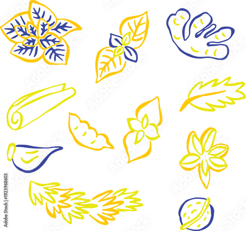 Bright, hand-sketched spices and herbs with bold yellow and blue outlines. Oregano, ginger, garlic, cinnamon, walnuts, rosemary.food ingredient illustration. colorful sketch for culinary projects.