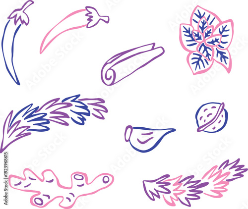 Creative spice and herb sketches, hand-drawn with vivid pink and purple lines. Rosemary, hot pepper, garlic, walnuts, ginger, oregano, cinnamon. Bold, rough outlines for culinary design.