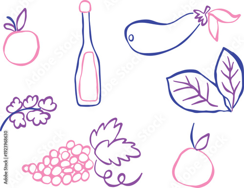 Hand-made sketch of spices with bright, sketchy pink and purple contours. Apple, parsley, bay leaf, eggplant, grapes, oil. Creative culinary herb outline. Isolated colorful food illustration.