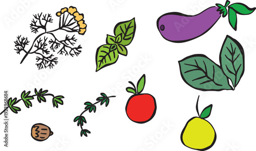 Bright, hand-sketched spice set with rough black lines. Dill, oregano, bay leaf, apple, walnut, eggplant. Creative culinary element. Isolated colorful outline.