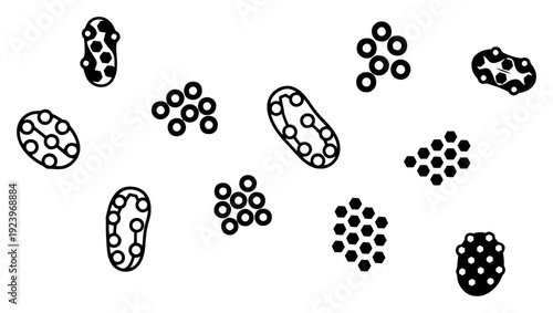 Set of abstract black and white organic shapes and textures with dot patterns