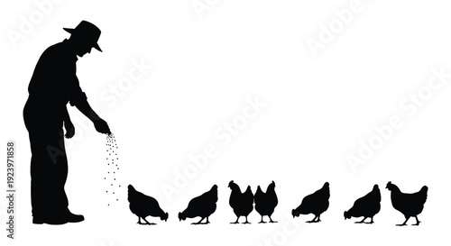 Farmer feeding chickens a striking black silhouette