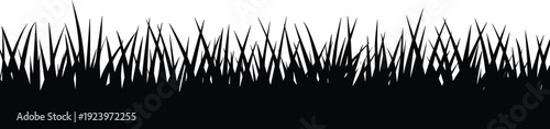 Silhouette of sharp black grass blades against a stark white background creating a minimalist and natural border