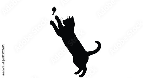 A playful cat reaches for a dangling toy in black silhouette