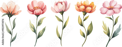 Watercolor painted delicate pink and orange flowers with green leaves on a white background showcasing soft floral beauty for spring and summer projects