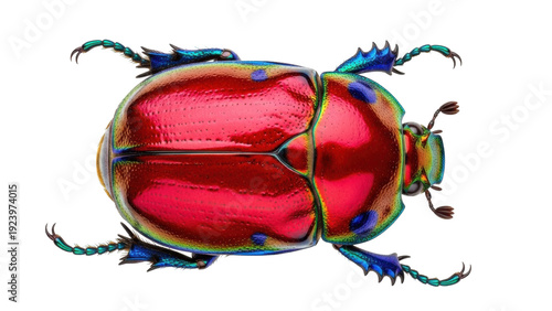 Fotografie Isolated Jewel Scarab Beetle, a Vibrant Iridescent Insect Against a Plain Backdr