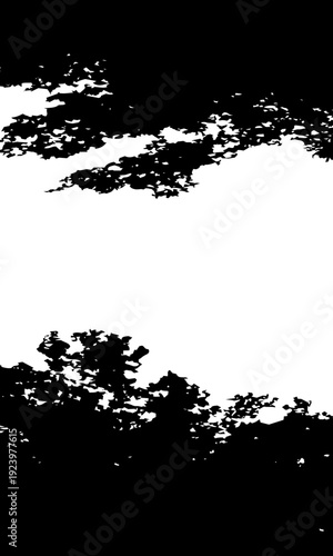 Abstract black and white silhouette of tree branches and leaves.