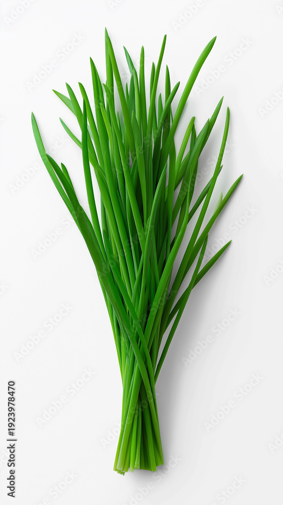 Fototapeta premium Fresh green chives bundle isolated on light background.
