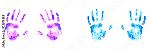 Colorful purple and blue painted child handprints isolated on white.