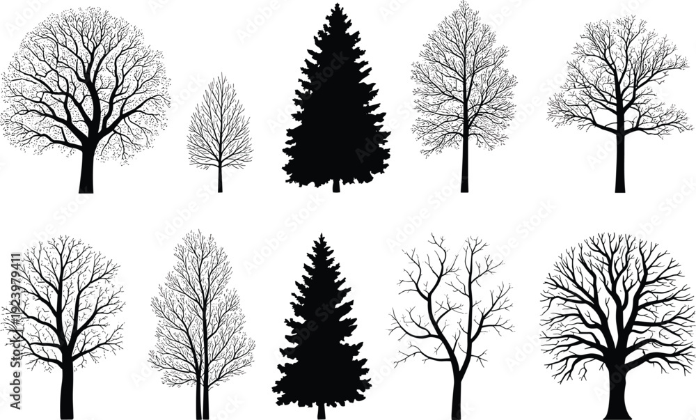 Fototapeta premium PrintTree silhouettes collection, diverse deciduous and coniferous forms, botanical illustration, forestry reference, nature design, artistic morphology, leafless branching patterns