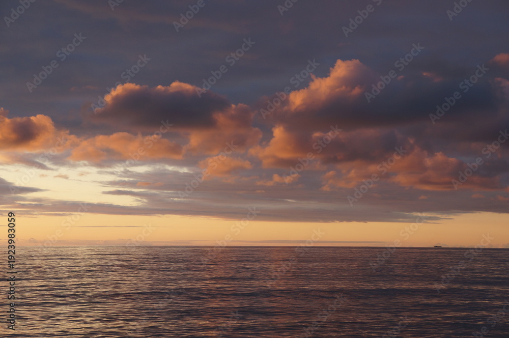 Fototapeta premium sunset over the sea