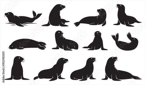 Marine Seal and Sea Lion Silhouette Collection in Minimal Black Vector