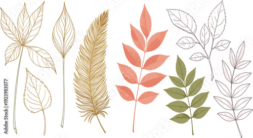 Hand drawn autumn leaves and feather vector set with delicate line art and soft colors isolated on white background