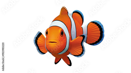 Photography Isolated clownfish Nemo with vibrant orange and white coloration against a clean