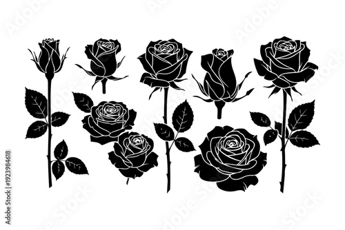 Black Rose Silhouettes Collection, Floral Vector Icons and Buds