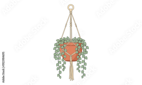Macrame Plant Hanger with Trailing Houseplant in Terracotta Pot