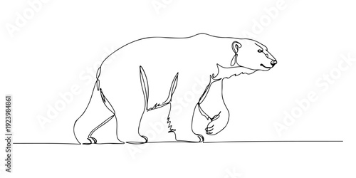 Continuous one line of a polar bear, representing strength, endurance, and nature, drawn illustration.