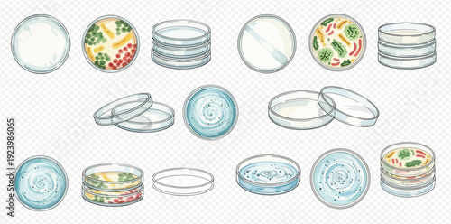 Scientific illustration set of petri dishes, empty and with microbial growth for laboratory research.