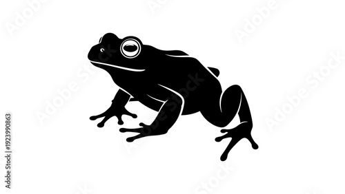 Black Frog Silhouette Side View.