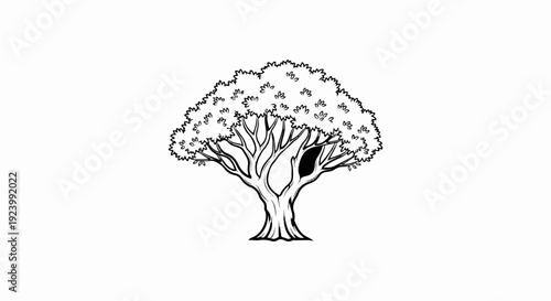 Stylized black and white drawing of a large, leafy tree with a dark hollow