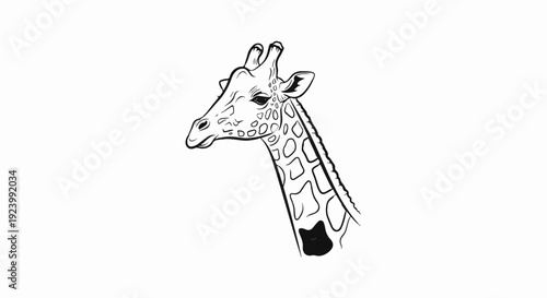 Stylized black and white drawing of a giraffe's head and neck
