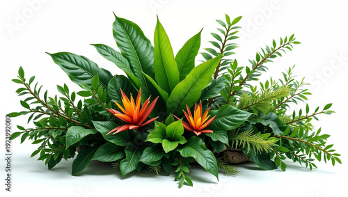 Wallpaper Mural Tropical Botanical Arrangement with Green Foliage and Orange Bromeliad Flowers Torontodigital.ca