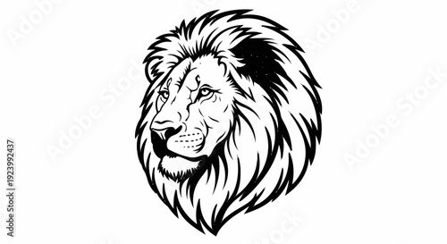 Stylized black and white close-up of a male lion's majestic head