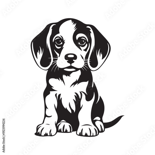 Adorable beagle puppy sitting with big eyes in black silhouette art