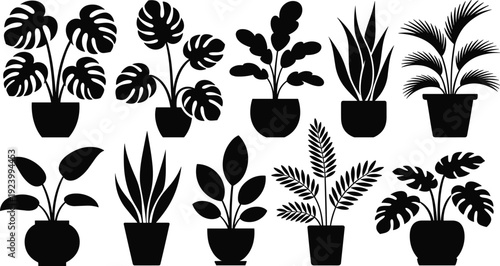 Minimalist tropical houseplant silhouettes collection, black potted indoor plants vector set, modern botanical illustration isolated on white background