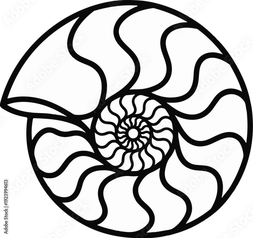 Stylized illustration of a nautilus shell's spiral cross-section
