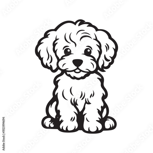 Adorable curly-haired Maltipoo puppy sitting in bold black silhouette
